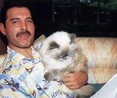 Freddie-Mercury-2_thumb QUEEN, EL GRUPO DE LA REINA