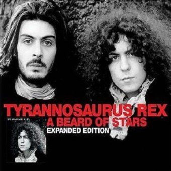 Tyrannosaurus Rex - 1970 - A Beard Of Stars