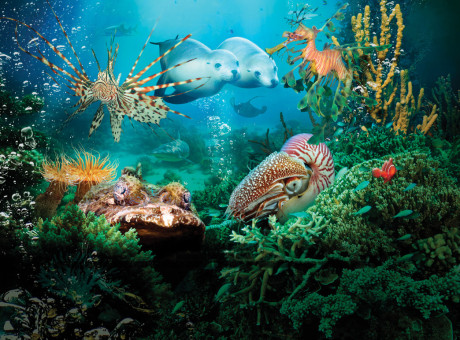 Under-Sea-HERO