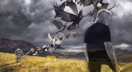 DAVID GILMOUR Y SU ULTIMO ALBUM