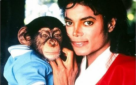 MICHAEL JACKSON : ESPECTACULAR DOCUMENTAL SOBRE LOS ANIMALES DE SU ZOO