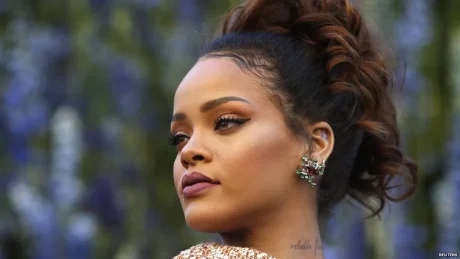 UN LOCO APARECE EN LA CASA DE RIHANNA PARA PEDIRLE MATRIMONIO