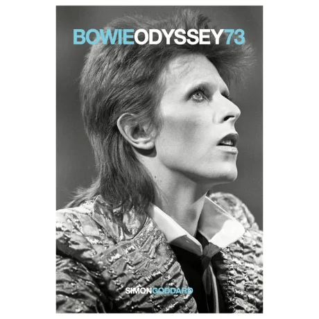 CUARTA ENTREGA DE LA SERIE BOWIE ODISSEY DEL AUTOR SIMON GODDARD