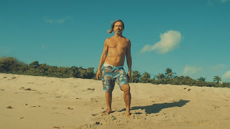 LA PASION DE IGGY POP Y LOU REED POR BRIAN WILSON Y LOS BEACH BOYS